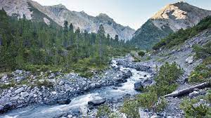 Der schweizer nationalpark ist ein stiller. Schweizerischer Nationalpark Ausflugsziele Zernez