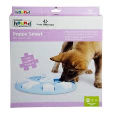 Outward Hound Blue Nina Smart Puzzle Puppy Toy Large Petco
