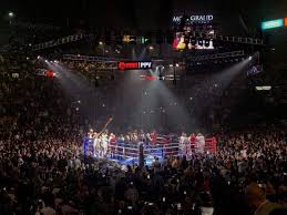 Boxing photos at MGM Grand Garden Arena