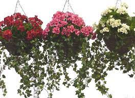 artificial geranium hanging basket plants outdoor railing planter black