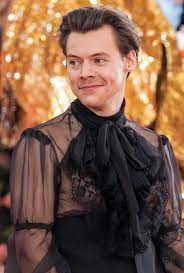 Get it as soon as mon, jul 26. Die Kleider Des Popstars Harry Styles