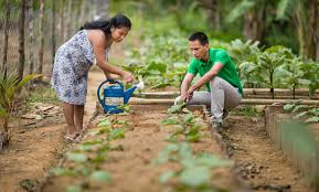 Plenty of social enterprises reside in the philippines, from food and agriculture to skincare products and retail, so there are always opportunities to make a purposeful purchase. Unlocking The Potential Of Rural Social Enterprises Social Enterprise Development In The Baltic Sea Region
