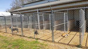We did not find results for: Bark Avenue Pet Resort Home Facebook