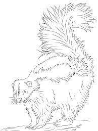 Cartoon moose or deer, baby chameleon or smiling rhino, camel and polar bear, panther and jungle koala, wolf. Baby Skunk Coloring Pages Skunk Is A Mammal That Has Black And White Fur It Is An Omnivorous Animal Which Me Baby Skunks Animal Coloring Pages Coloring Pages