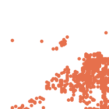 Image result for Urochloa oligotricha