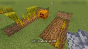 You pretty much just plant a cactus block and wait for it to 2.3 how do you farm cactus? How To Grow Cactus In Minecraft
