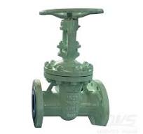 DN80 PN25 Cast Steel Gate Valve 1.0619 EN1092-1 B1 EN1984 ...