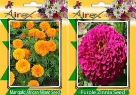 Check spelling or type a new query. Airex Marigold African Mixed And Purple Zinnia Summer Flower Seed Pack Of 15 Seed 2 Per Packet Seed Price In India Buy Airex Marigold African Mixed And Purple Zinnia Summer