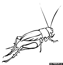 Technically there are 17 insects, a spider, a snail, and a worm. Insect Online Coloring Pages
