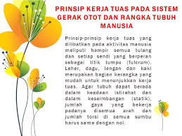 Keuntungan mekanis (km) adalah bilangan yang menunjukkan berapa kali pesawat menggandakan gaya. Prinsip Kerja Tuas Pada Lengan Dan Siku Manusia Oleh Kelompok Ppt Download