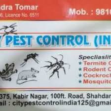 Pest control delhi contact number: City Pest Control India Shahdara Residential Pest Control Services In Delhi Justdial