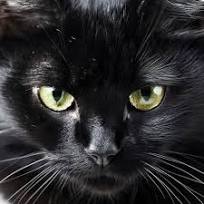 �������������� ��� ����� ����������� 😺 � � � � � � . � ���� ...