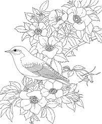Download and print these blue bird coloring pages for free. New York Bluebird Coloring Page Purple Kitty