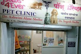 Care pet clinic is your local veterinarian in columbus serving all of your needs. Paws 4ever Pet Clinic Multi Speciality Clinic In Nigdi Pune Book Appointment View Fees Feedbacks Practo