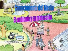 Maybe you would like to learn more about one of these? Conocimiento Del Medio Ppt Video Online Descargar