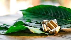 Image result for Kratom
