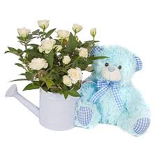 Maybe you would like to learn more about one of these? Baby Boy Rose Geschenk Mit Teddy Serenata Flowers