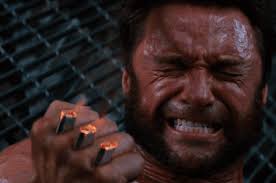 Remember When Wolverine Lost His Adamantium, Went Feral And Lost His Nose?  | Resetera