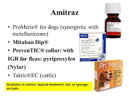 For use in growing puppies, they should be 6 months of age or older and weigh at least 4.4 lbs. Antiparasitics Chapter Ppt Video Online Download