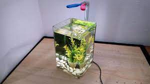 Untuk membuat aquarium mini terlihat lebih cantik, anda bisa menambahkan hiasan seperti yang biasanya digunakan untuk menghias aquarium pada umumnya. How To Make Aquarium Light From Usb Leds Youtube