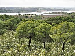 Check out our insider tips & highlights. Castro Marim Tour