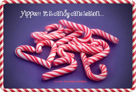 Saying yes to everything my girlfriend says for 24 hours. Candy Cane Christmas Quotes Quotesgram
