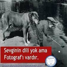 Sevgi Fotograf Dil Psikoloji Psikolog Danismanlik Dunyapsikolojikdanisma Izmir Alsancak Hayvan Sozleri Ozlu Sozler Edebiyat