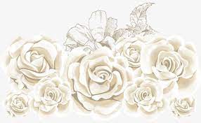 La Rose Blanche Vecteur Rose Mer La Mer En Matiere De Vecteur De Roses Les Roses De La Mer De Materiau Png Et Vecteur Roses Blanches Rose Blanche Fleurs