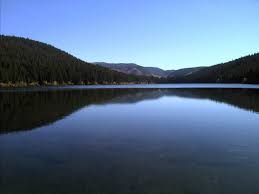 Recreation Sites And Trails Bc Trail Wood Lake Recreation