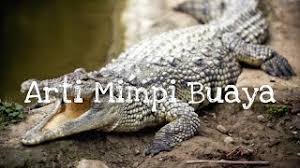 Arti mimpi digigit ular selalu dipahami sebagai hal yang negatif atau tak jarang mengerikan. 11 Arti Mimpi Buaya Menurut Islam Primbon Dan Psikologi Youtube