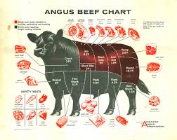 Bribase Shop Beef Meat Cow Cuts Butchers Chart Poster 36 Inch X 32 Inch