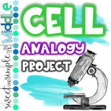 A vacation spot that you remember in particular. Cell Analogy Project Ideas 3d