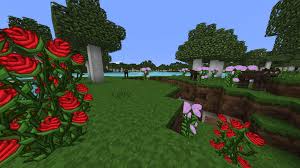 Use the update and replace option when prompted (this should be the default option on winrar) close both files. Purebdcraft For Minecraft Java Edition Bdcraft Net