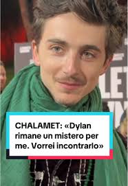 Bob Dylan Red Carpet