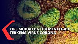 Virus corona termasuk dalam keluarga besar virus yang menyebabkan mers dan sars. Cara Mencegah Penularan Virus Corona