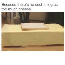 Feel free to send us a message! Because Theres No Such Thing As Too Much Cheese L2gtv Laugh2go Laugh2go Laugh2go Com Funny Pictures Memes Jokes Funny Pictures Really Funny Funny