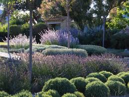 Paradis Express Anthony Paul Landscape Design Landscape Design French Garden Garden Landscape Design