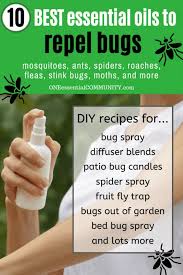 Neither bugs nor the chemical smell of commercial repellent are invited to this relaxing evening by add the ingredients into a clean spray bottle and shake well. Top 10 Essential Oils That Repel Bugs Bug Spray Recipe Diffuser Blends And More Diy Recipes To Naturally Keep Bugs Away One Essential Community