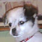 Gov T Led By Muhyiddin Has Been Good For The People Eddin Syazlee Asia News People Negeri Sembilan