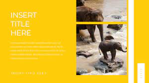 Elephant Slideshare Ppt Animal Google