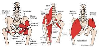 Bend your right knee and place your right ankle above your left knee on the thigh. Select Chiropractic And Wellness Hidden Causes Of Low Back Pain Part 2