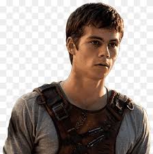 The Maze Runner Dylan O'Brien Teresa Alby Newt, others, The Maze Runner,  Dylan O'Brien, Newt png