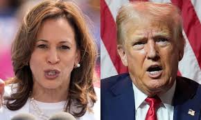 What about my nest egg?' With an eye