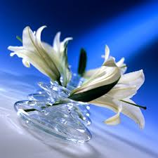 Găsește imagini cu 8 martie. Happy 8th Of March Happy International Women S Day La Multi Ani De 8 Martie La Multi Ani De Ziua Internationala A Femeii