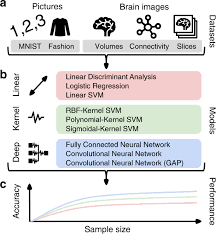 Understand linear discriminant analysis for machine learning, dimensionality reduction, limitations of logistic regression. Different Scaling Of Linear Models And Deep Learning In Ukbiobank Brain Images Versus Machine Learning Datasets Nature Communications