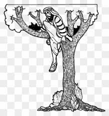It has four panels that break the story into brief sequenced cards. Fig Fruit Coloring Page Zacchaeus The Tax Collector Free Transparent Png Clipart Images Download