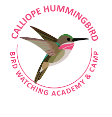 You can tell how fast a hummingbird beats its wings by measuring the pitch of the humming noise. How Fast Do Hummingbirds Wings Flap Bird Watching Academy
