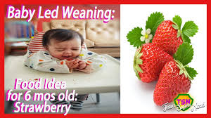 Combine the oatmeal and water in a small pot. Food Idea For 6 Month Old Snack Baby Led Weaning Blw Team Super Nicos Youtube