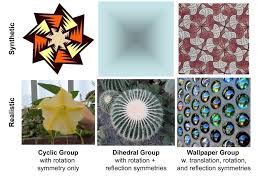 The order of rotational symmetry is the number of times the object fits onto itself during a 360° turn. Examples Of Images With Rotation Left Column Reflection And Rotation Download Scientific Diagram