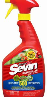 This sevin insecticide is an effective and highly concentrated insecticide that is able to kill more than 500 different pest species. 32oz Sevin Insecticide Spray Garden Center Wholesale Plants Mn